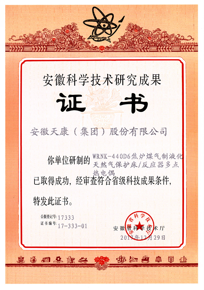 WRNK-440D6焦?fàn)t煤氣制液化天然氣保護(hù)床反應(yīng)器多點(diǎn)熱電偶