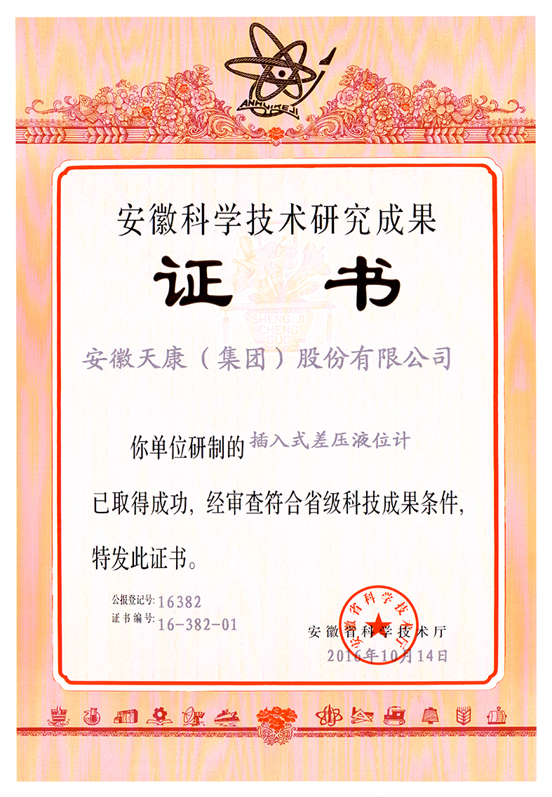 插入式差壓液位計(jì)