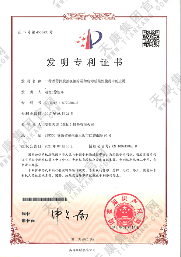 一種香薷揮發油在治療諾如病毒感染性腹瀉中的應用