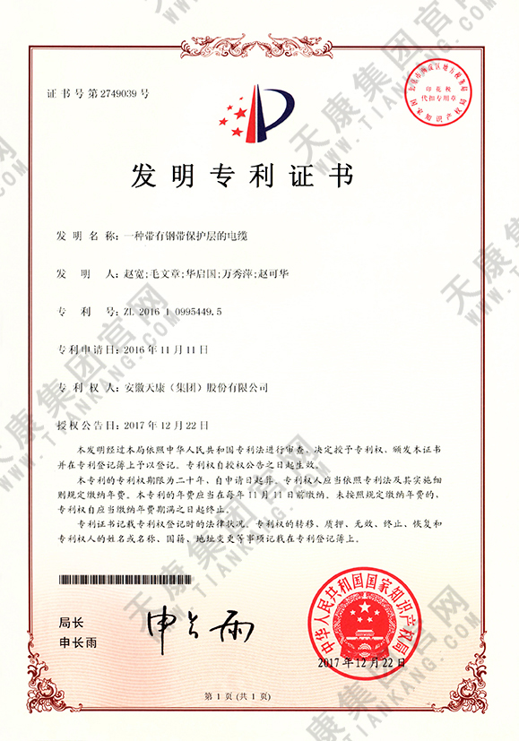 一種帶有鋼帶保護層的電纜