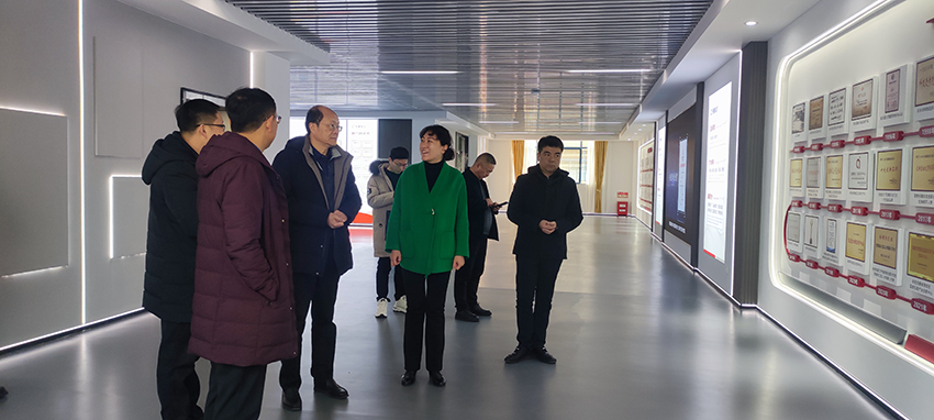 麻副市長陪同岳東院士參觀技術中心