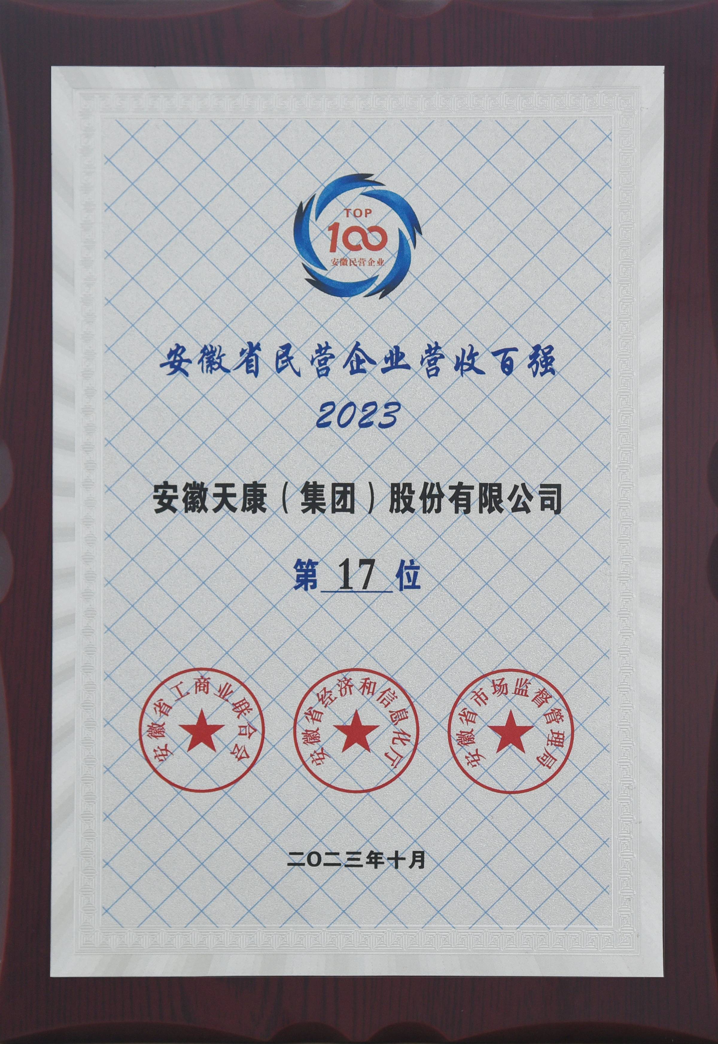 2023安徽省民營企業營收百強第17位