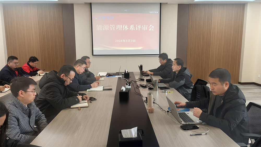 20260302天康集團能源管理體系順利通過監督審核